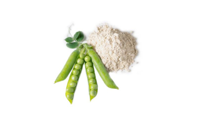 Pea protein