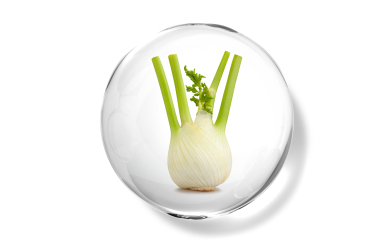 Fennel sweet seed oil