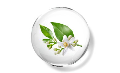 Neroli flower oil