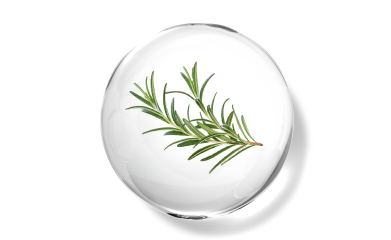 Rosemary leaf oil
