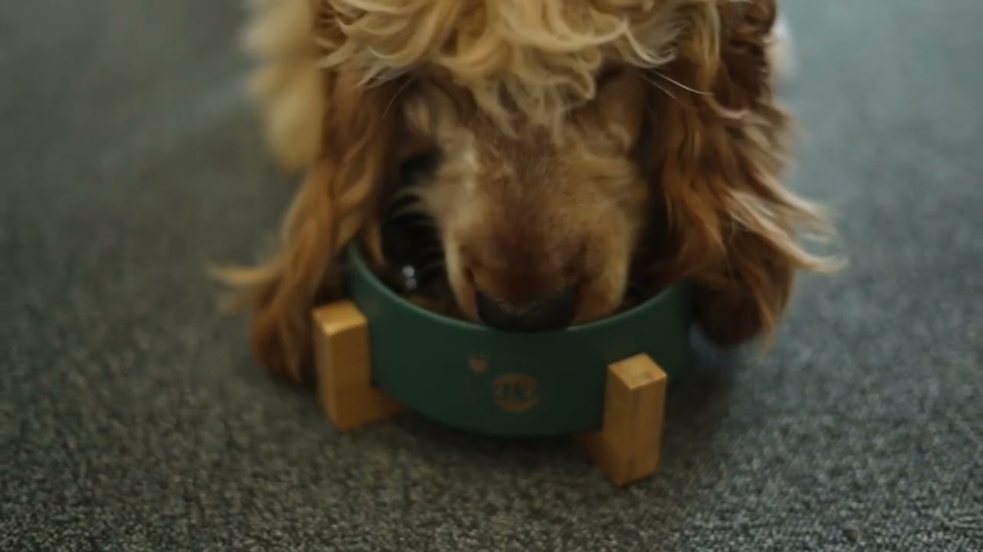 Video NATURE&#039;S PROTECTION SUPERIOR CARE White Dogs complementary feed - soup for adult dogs of all breeds with salmon and tuna 140 ml - 1