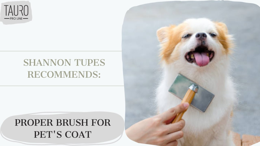 Video TAURO PRO LINE plastic brush, thin and hard 20 mm pins purple - 1