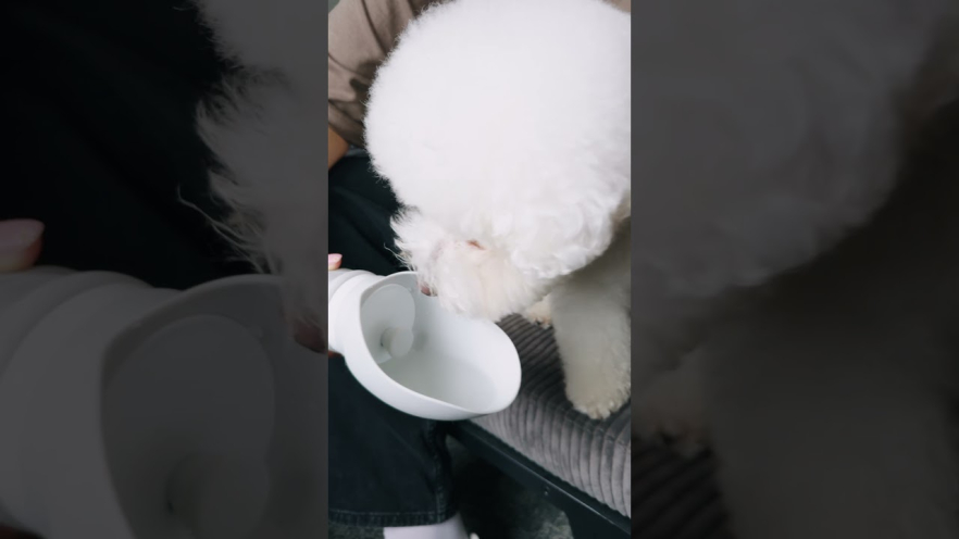 Video MISOKO dog travel bottle, silicone grey, 550 ml - 1