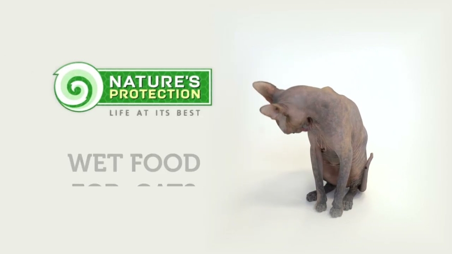 Video NATURE&#039;S PROTECTION canned pet food for junior cats with turkey and rabbit 400 g - 1