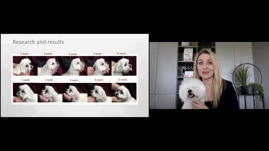 Video NATURE&#039;S PROTECTION SUPERIOR CARE dry grain free food for adult dogs of small breeds with white coat, with insect  1.5 kg - 2