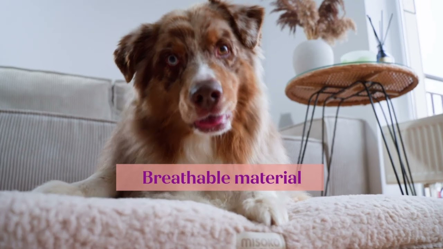 Video MISOKO soft pet bed, oval, purple size S - 1