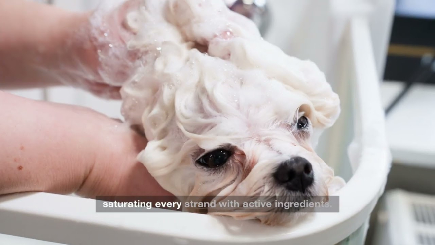 Video TAURO PRO LINE Ultra Natural Care deep clean shampoo for dogs and cats with white, light coat and skin 400 ml - 1