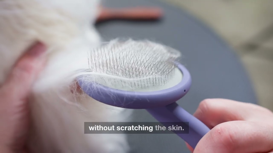 Video TAURO PRO LINE Brush round, 9 x 19 cm purple, 9 x 19 cm - 1