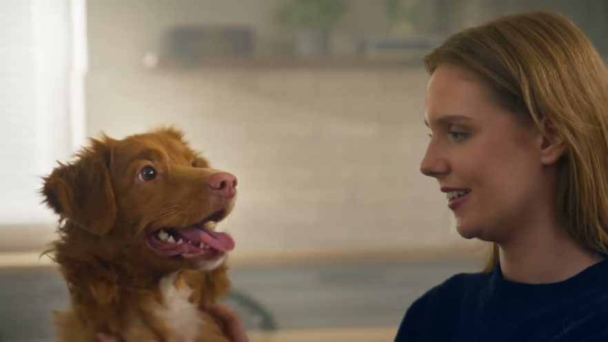 Video TAURO PRO LINE 7in1 pet grooming kit with pet hair vacuum 1 pc. - 1