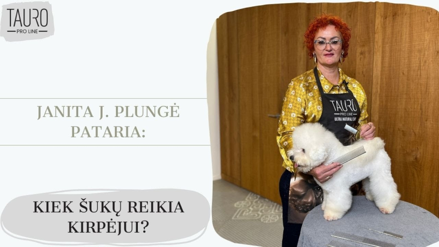 Video TAURO PRO LINE Comb metallic, with tail, 19.3 cm - 1