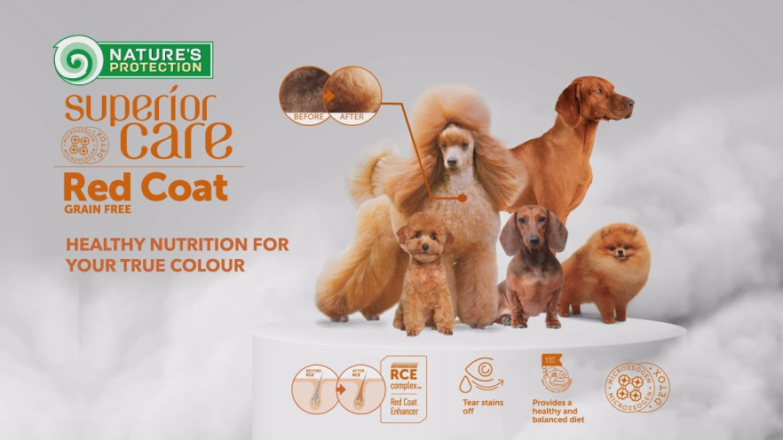 Video NATURE&#039;S PROTECTION SUPERIOR CARE dry grain free food for adult dogs of all breeds with red coat, with lamb  4 kg - 2