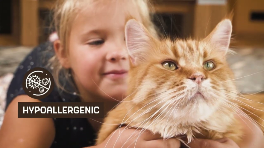 Video NATURE&#039;S PROTECTION LIFESTYLE dry grain free food for senior cats with salmon 400 g - 1